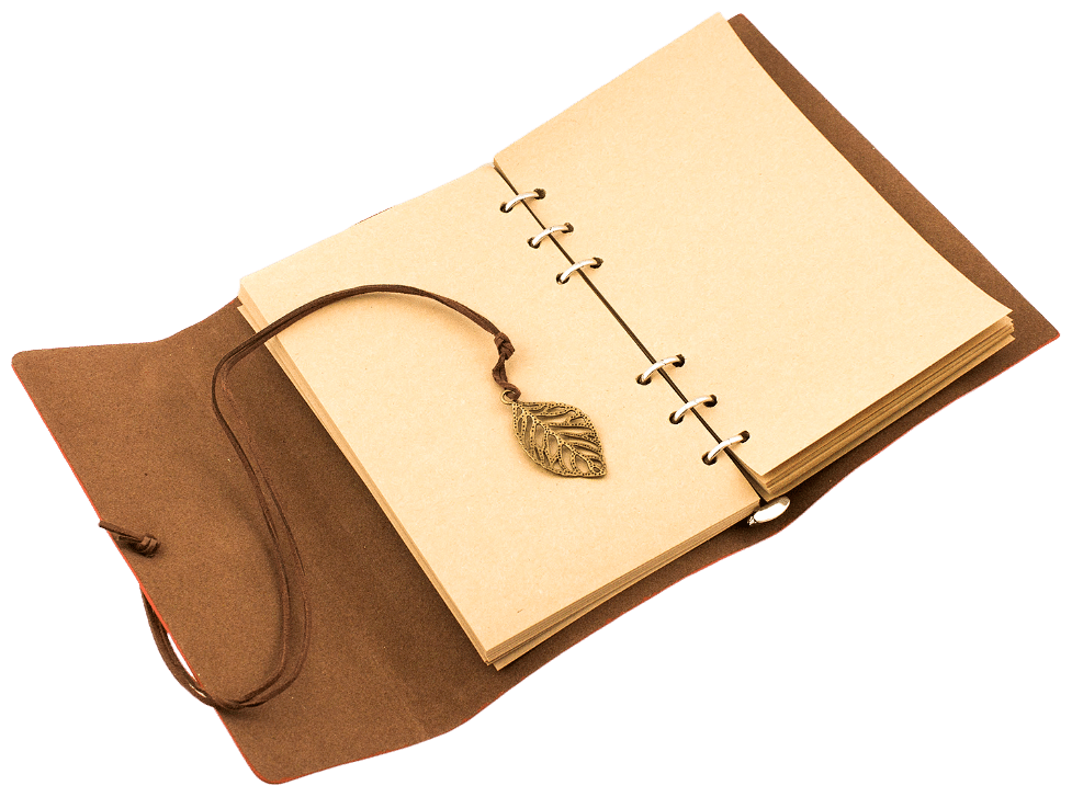 Идея для подарка: Блокнот, записная книжка, ежедневник, тетрадь на кольцах, со сменным блоком, крафт, экокожа Эврика (Листья 12х18 см, темно-коричневый) подарочный
