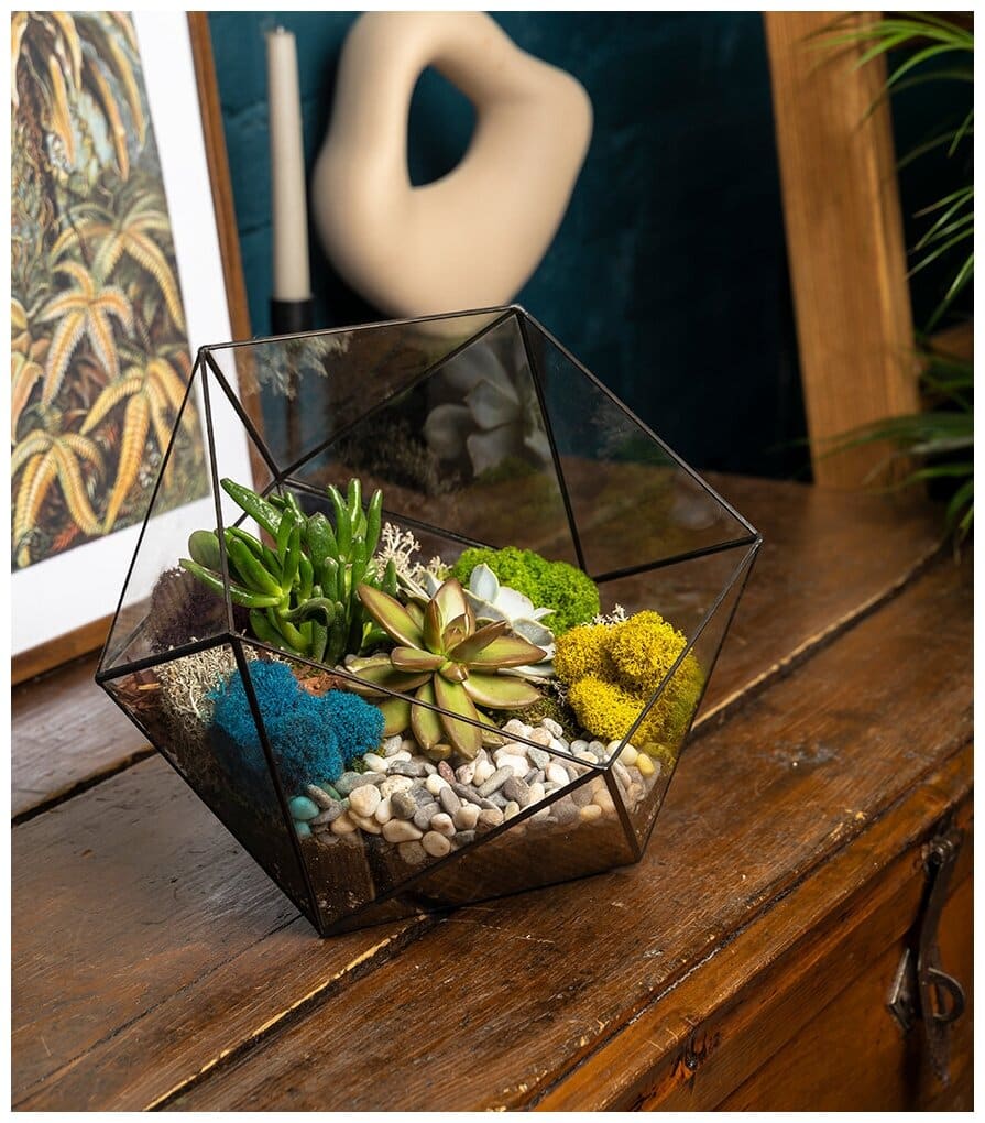 Идея для подарка: Флорариум GeoGlass с растением замиокулькас 35-40 см