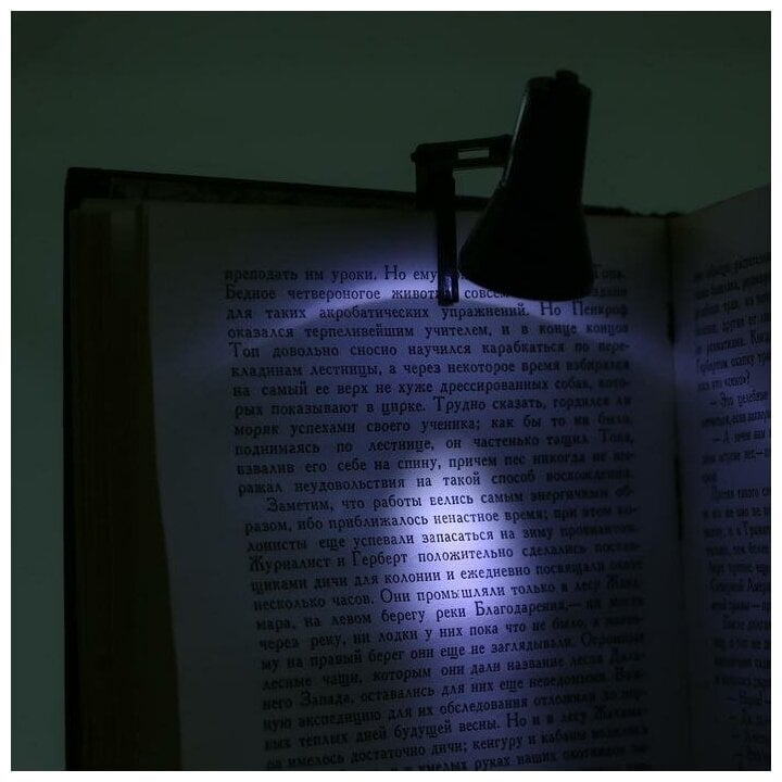 Идея для подарка: Фонарь-лампа "Мастер К", с закладкой для чтения книг, LR41