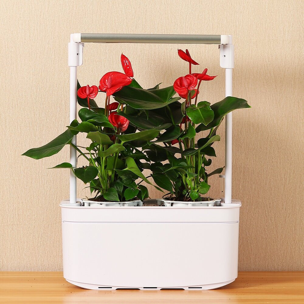 Идея для подарка: Гидропонная установка HobbyFarm Mini, домашний умный смарт сад, 2 ячейки с фитолампой