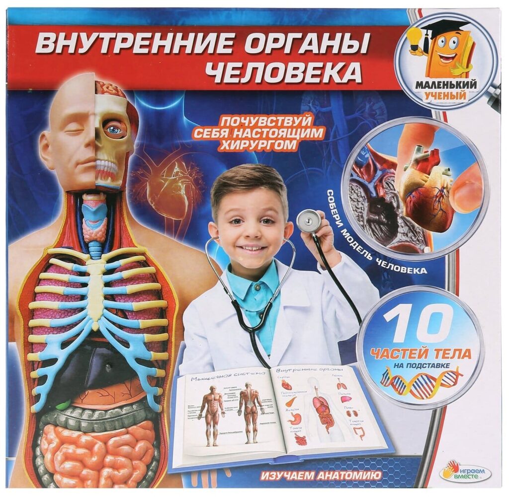 Идея для подарка: Играем вместе "Играем вместе" Опыты. Внутренние органы человека KY-10001