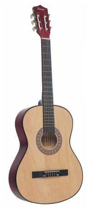 Идея для подарка: Классическая гитара Terris TC-3801A NA